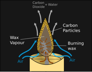 Cross section of a candle