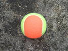 Tennis Ball 